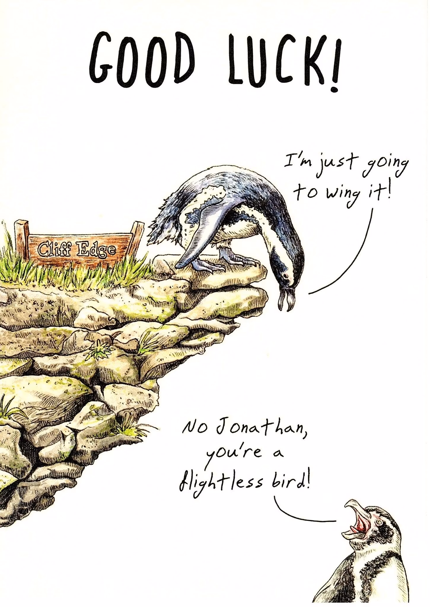 Kort Bewilderbeest `Flightless Bird`