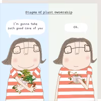 Card Plant Ownership
