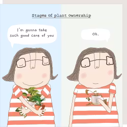 Card Plant Ownership