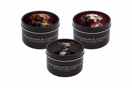 Tin Candle Dog