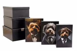 Giftboxes Fluffy Dogs