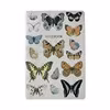 Notebooks A5 Vintage Butterflies