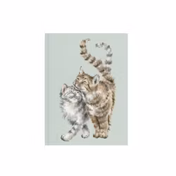 Notebook A6 Cat