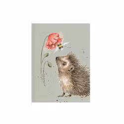 Notebook A6 Hedgehog