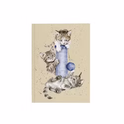 Notebook A6 Kittens