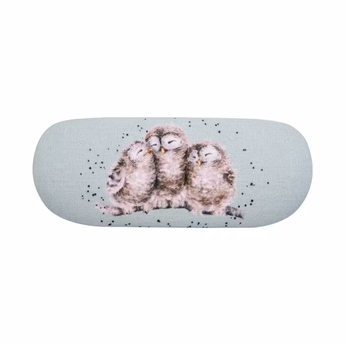 Glasses Cases Owl