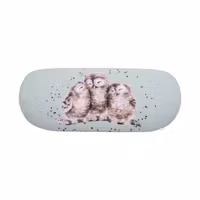 Glasses Cases Owl