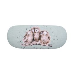 Glasses Cases Owl
