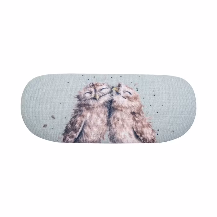 Glasses Cases Owl