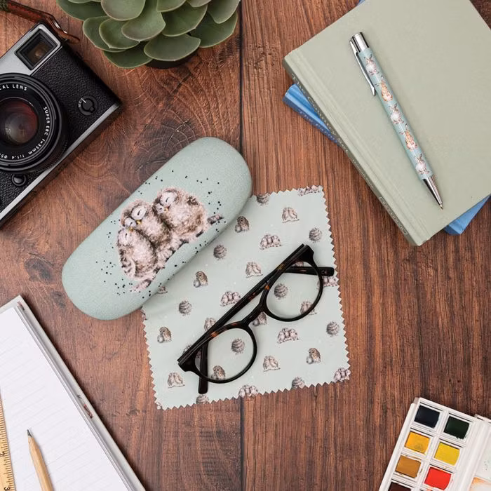 Glasses Cases Owl