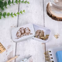 Mini Gift Tin Owl