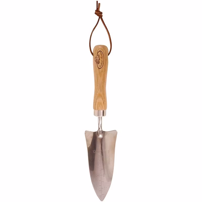 Transplanter