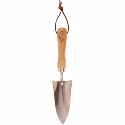 Transplanter
