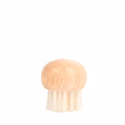Mushrom Brush
