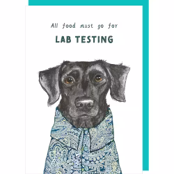 Card Lab Test