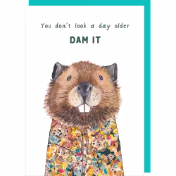 Card Dam It