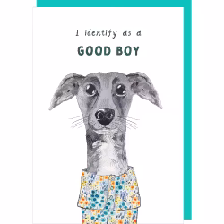 Card Good Boy