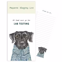 Magnetic Notepad Lab Test