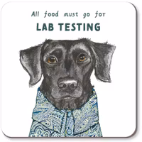 Coaster Lab Test