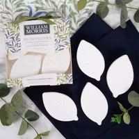 Willow Bough Bath Fizzers
