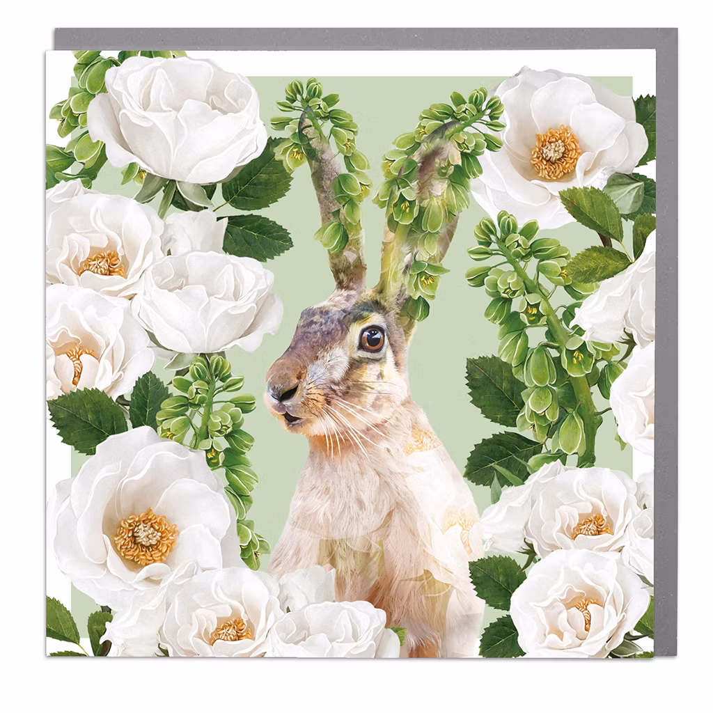 Card Full Bloom Hare with White Garden Roses