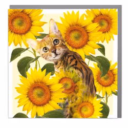 Card Full Bloom Bengal Cat and Sunflowers
