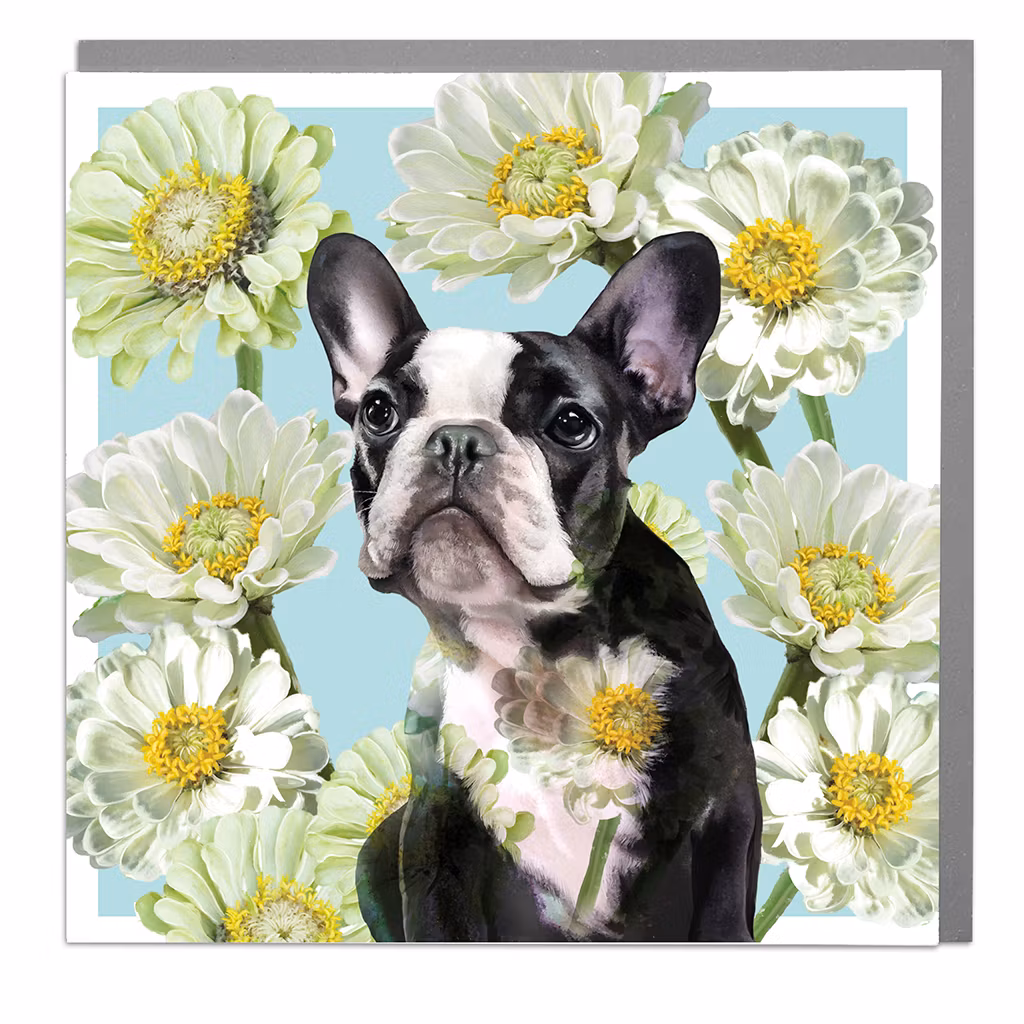 Card Full Bloom French Bulldog and White Daisy Flowers