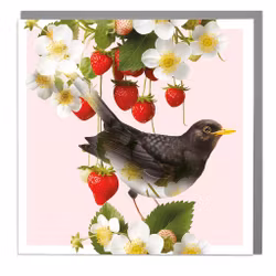 Card Full Bloom Blackbird and Strawberries