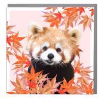 Card Full Bloom Red Panda Art