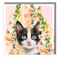 Card Full Bloom Tuxedo Kitten Art