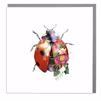 Card Wildlife Botanical Lady Bird