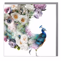 Card Wildlife Botanical Flamboyant Peacock