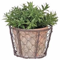 Pot in wire basket
