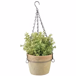 Pot hanging in wire basket