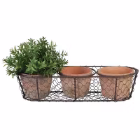 3 Pots in wire basket