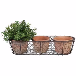 3 Pots in wire basket