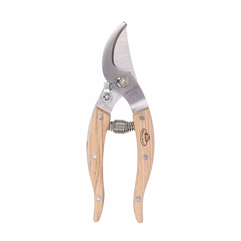 RVS Prunning Shears House Plant