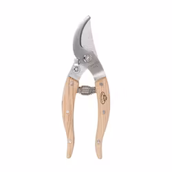 RVS Prunning Shears House Plant