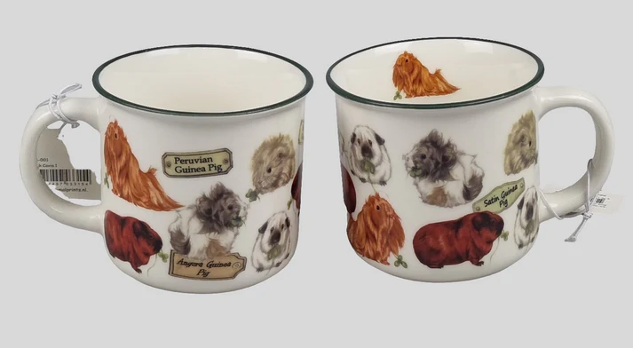 Mug Guinea Pig