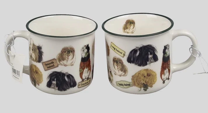 Mug Guinea Pig