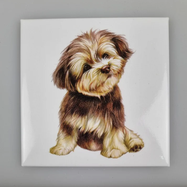 Fridge Magnet Dog Boomer