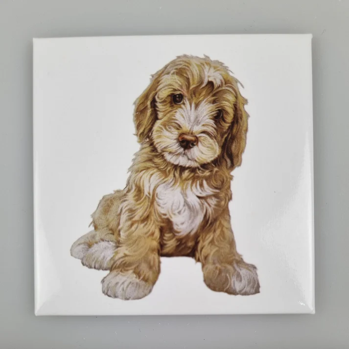 Fridge Magnet Labradoodle
