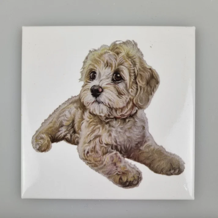 Fridge Magnet Labradoodle