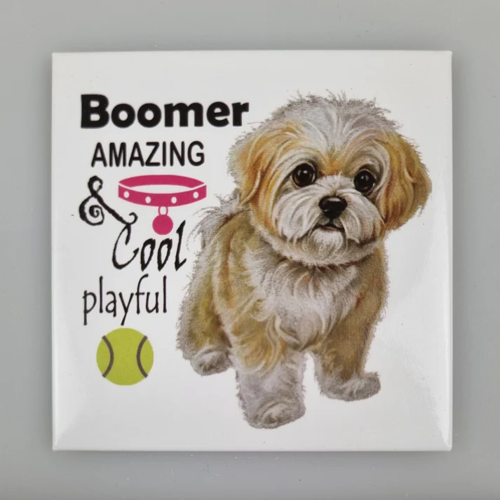 Fridge Magnet Boomer w. text