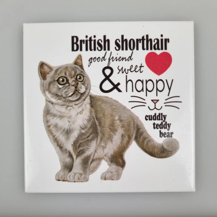 Fridge Magnet Shorthair Cat
