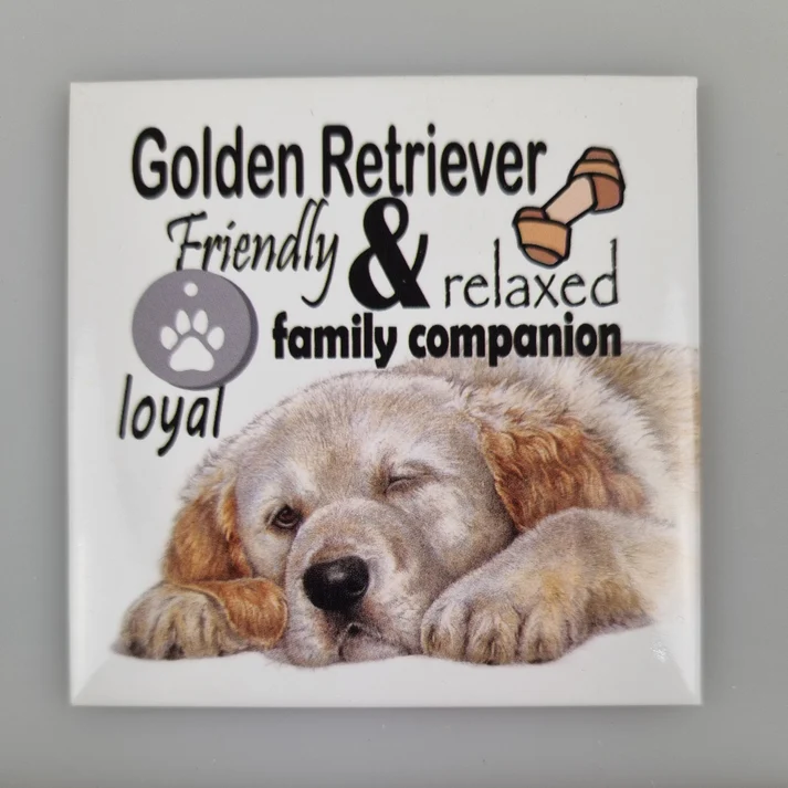Fridge Magnet Golden Retriever w text