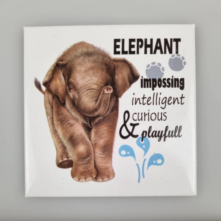Fridge Magnet Elephant w text