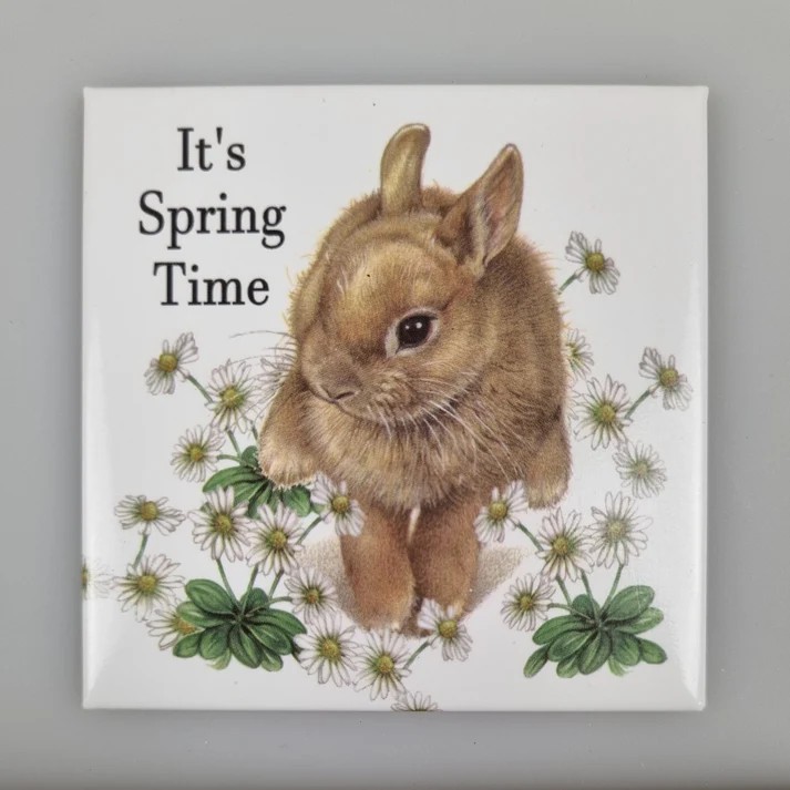Fridge Magnet Rabbit