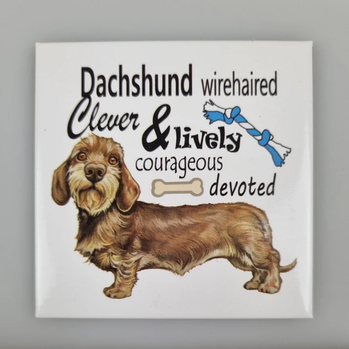 Fridge Magnet Dachshunds w text