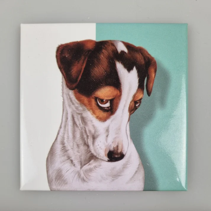 Fridge Magnet Jack Russel Terrier
